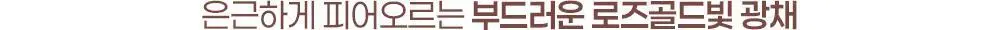 [블루밍테일콜라보] 투에이엔 퓨어 글래시 하이라이터 15 colors (단품) 상세페이지 30
